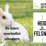 Bis Ostern unverbindlich schnuppern!